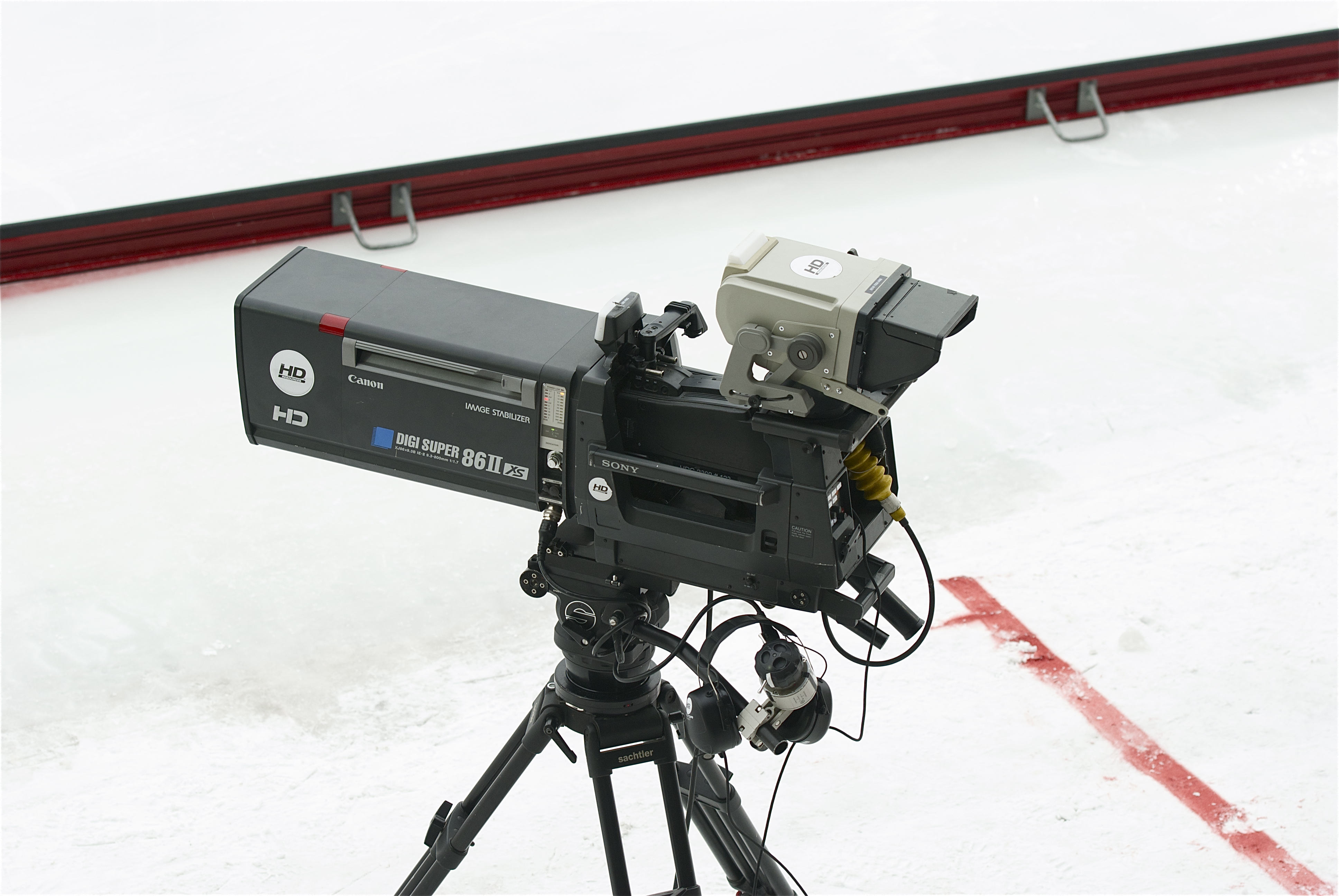 OLED evo C4 55